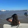 delfiidemi