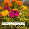 pdpdpd_88