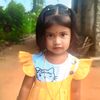 makil795