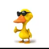 _flameguista_raiz