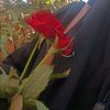 hall_e_dill3