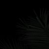 jeison_2920