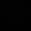 .syyv