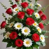 user115032128