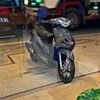plgn.ori