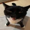 _zuruthekitsune_