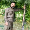 haval_dewana1