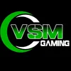 VSM Gaming