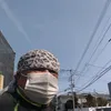 lastxinmin