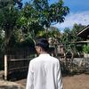 alfan_nnn
