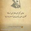 userirtazahussain