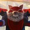 spider_cat_editor_