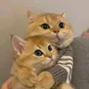 bsodhxobxjxbx