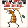 esperanzaconstan