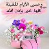 marwoush2