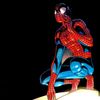 loser.spidey