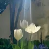 ynnlinh99