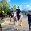 maleksowensultan10