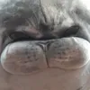 meennnnnnnnnnnnnnnnn
