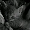 angelxx2007