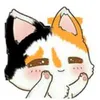 cleandra_stream