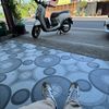 erwan_0782