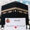 Yacoub safari