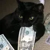 lifenikin