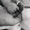 nassnas945