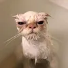 mel_1770
