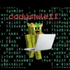codyledger