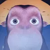 felipemendes626