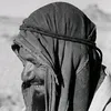 jolaibib