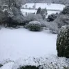 chrisp1950