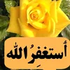flowersdana123