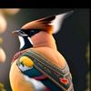 faawad0