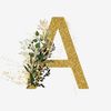 aafn5_
