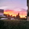 alisonbu2
