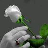 arshadranikhan6