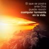 user096310934