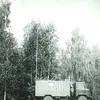 Дикий Ангел