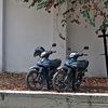 mathias_4536