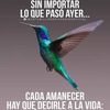 rosyramos122