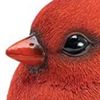 birdiebird3456