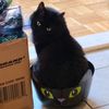 trackdevil1