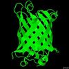 greenfluorescentprotein