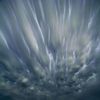 apolite_