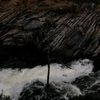 canachotube