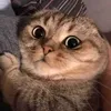 hello72828220