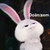 leduan_02